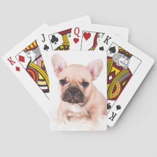 Baraja De Cartas Bulldog francés
