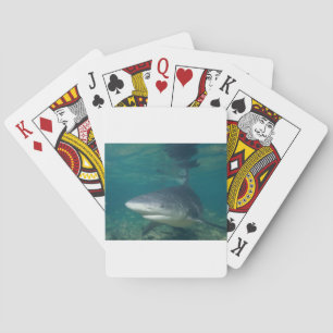 Baraja De Cartas Bullshark