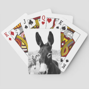 Baraja De Cartas Burro