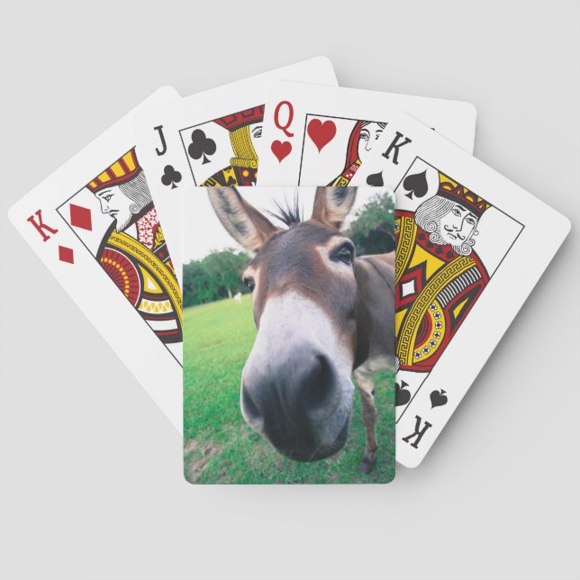 Baraja De Cartas Burro (Reverso)