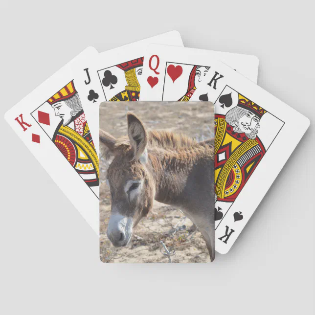 cartas juego de mesa del burro