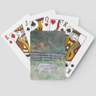 Baraja De Cartas Burro en un campo otoñal.