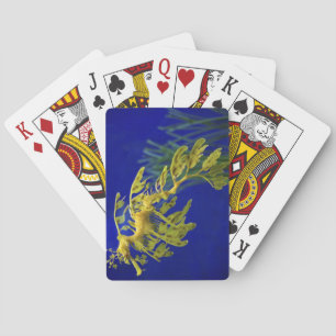 Baraja De Cartas Caballito d emar