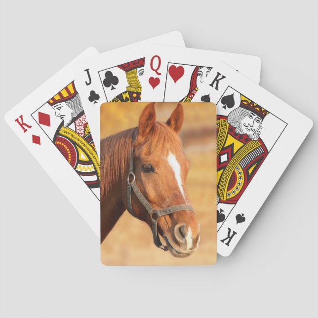 Baraja De Cartas Caballo (Reverso)