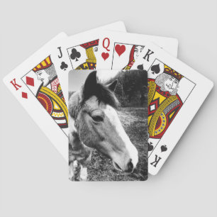 Baraja De Cartas Caballo