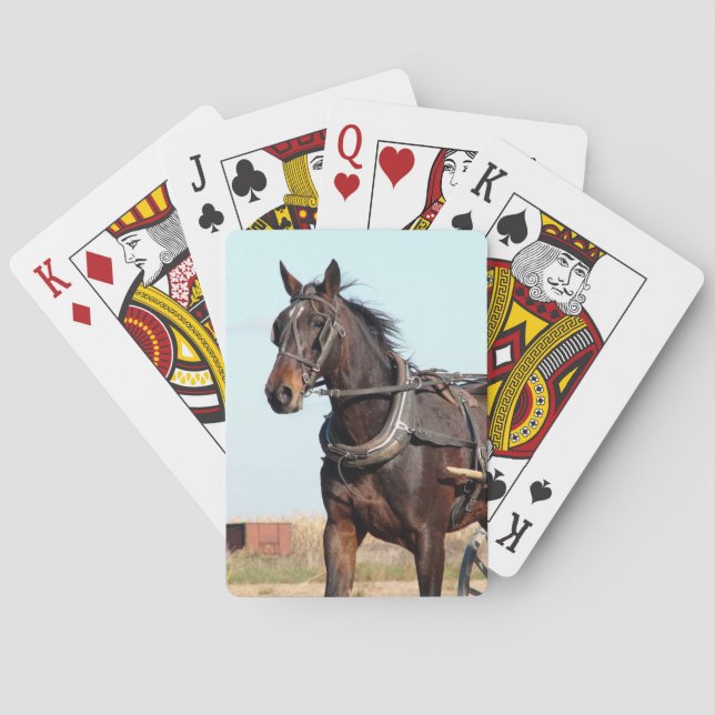 Baraja De Cartas Caballo Amish rural y buggy (Reverso)