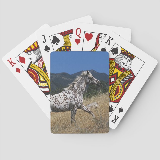 Baraja De Cartas Caballo Appaloosa corriendo por la montaña (Reverso)