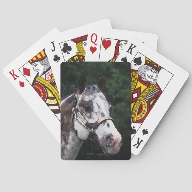 Baraja De Cartas Caballo Appaloosa Headshot 2 (Reverso)