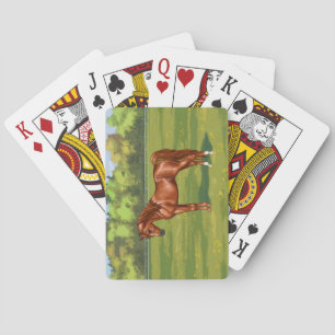 Baraja De Cartas Caballo árabe-egipcio castaño en pastura de primav