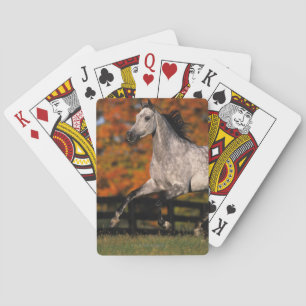 Baraja De Cartas Caballo árabe: Otoño 1