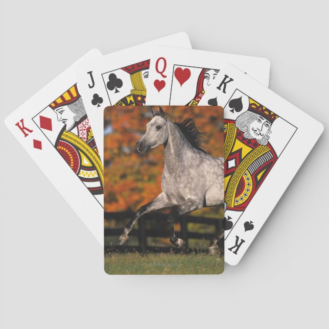 Baraja De Cartas Caballo árabe: Otoño 1 (Reverso)