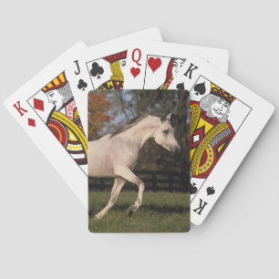 Baraja De Cartas Caballo árabe: Otoño 2