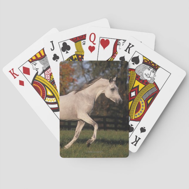 Baraja De Cartas Caballo árabe: Otoño 2 (Reverso)