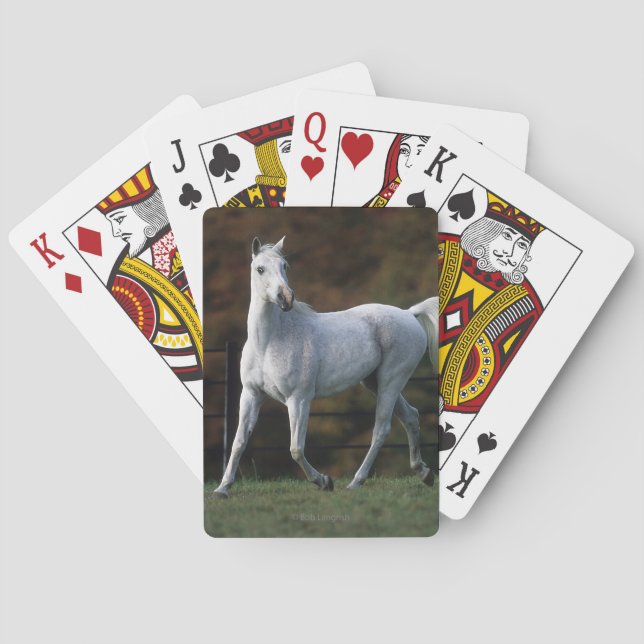 Baraja De Cartas Caballo árabe que corre 1 (Reverso)
