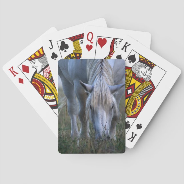 Baraja De Cartas Caballo blanco (Reverso)