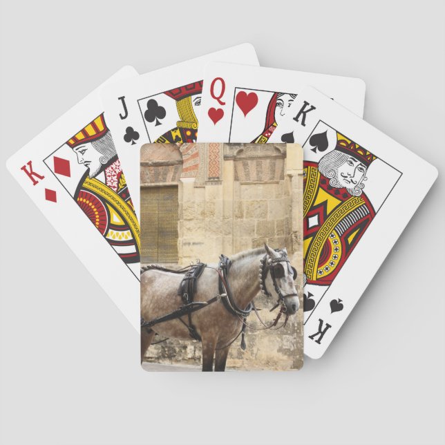 Baraja De Cartas Caballo Córdoba España (Reverso)