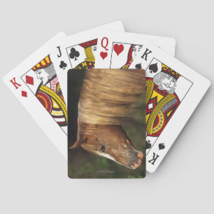 Baraja De Cartas Caballo de Appaloosa