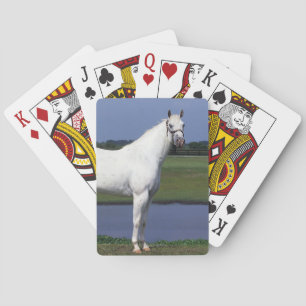 Baraja De Cartas Caballo del Appaloosa