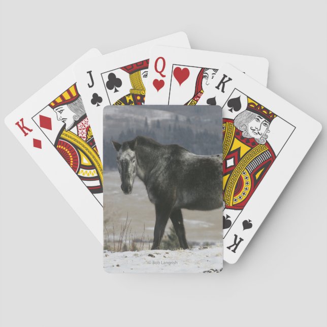 Baraja De Cartas Caballo del Appaloosa en la nieve (Reverso)