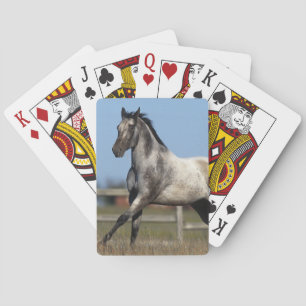 Baraja De Cartas Caballo del Appaloosa que corre 3