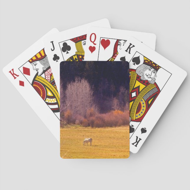 Baraja De Cartas Caballo en otoño (Reverso)