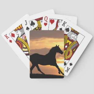 Baraja De Cartas Caballo en puesta del sol