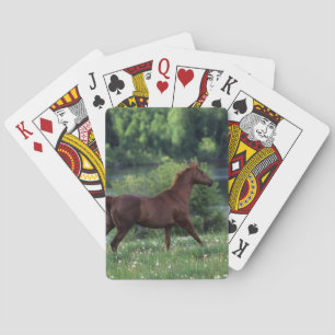Baraja De Cartas Caballo excelente que se coloca en flores
