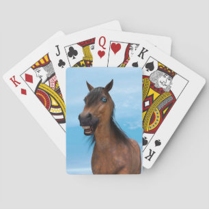 Baraja De Cartas Caballo Feliz