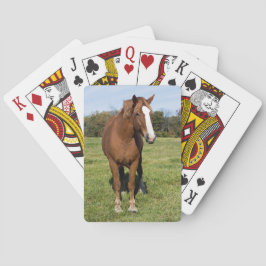 Baraja De Cartas Caballo hermoso