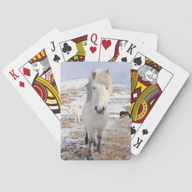 Baraja De Cartas Caballo islandés blanco, Islandia (Reverso)