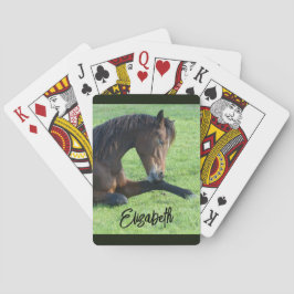 Baraja De Cartas Caballo marrón bonito en la hierba