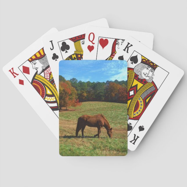 Baraja De Cartas Caballo marrón rojo, árboles caídos, cielos azules (Reverso)