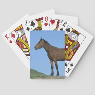 Baraja De Cartas Caballo salvaje del mustango