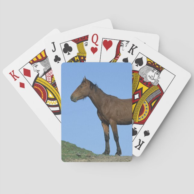 Baraja De Cartas Caballo salvaje del mustango (Reverso)
