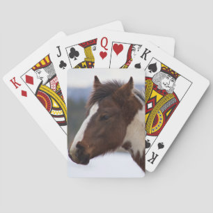 Baraja De Cartas Caballo tricolor