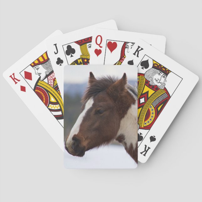 Baraja De Cartas Caballo tricolor (Reverso)