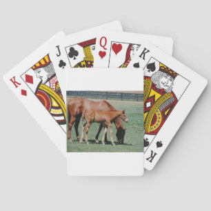 BARAJA DE CARTAS CABALLOS AMISTOSOS