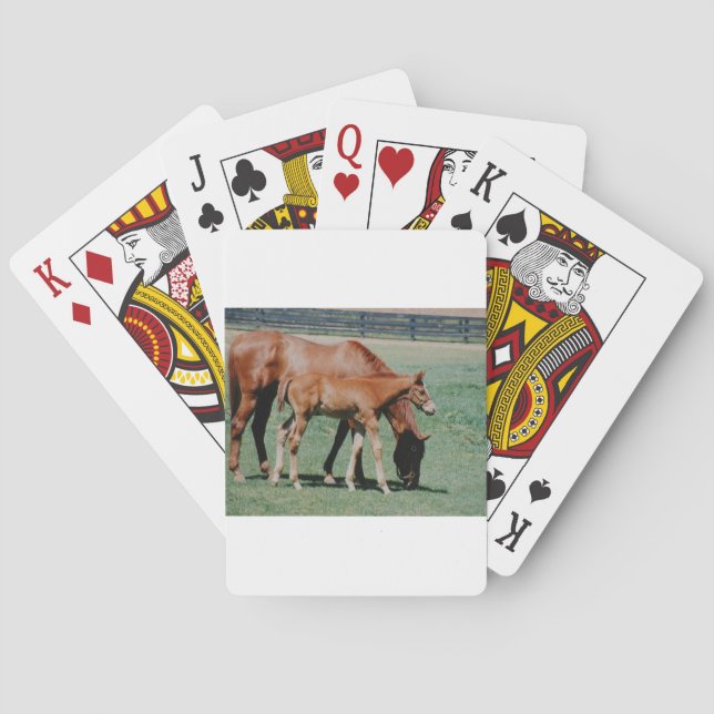 BARAJA DE CARTAS CABALLOS AMISTOSOS (Reverso)