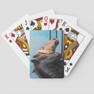 Baraja De Cartas Caballos/Cabalos/Horses
