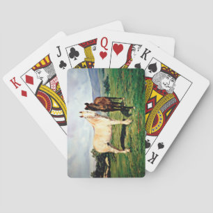 Baraja De Cartas Caballos/Cabalos/Horses