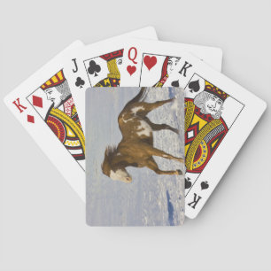 Baraja De Cartas Caballos corriendo en la nieve