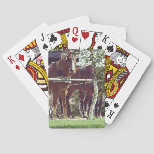 Baraja De Cartas Caballos de Amish en un puesto estremecedor alrede