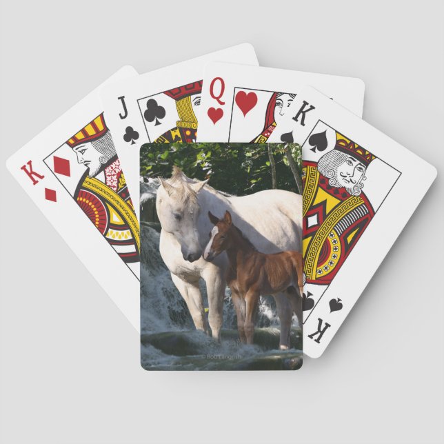 Baraja De Cartas Caballos de la fantasía: Cascada (Reverso)