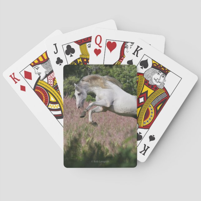 Baraja De Cartas Caballos de la fantasía: Galope de la primavera (Reverso)