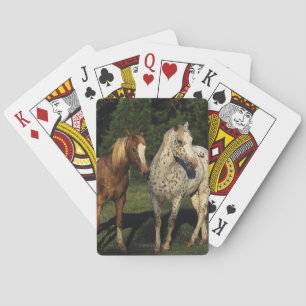 Baraja De Cartas Caballos del Appaloosa