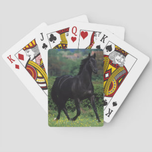 Baraja De Cartas Caballos excelentes en campo de flor