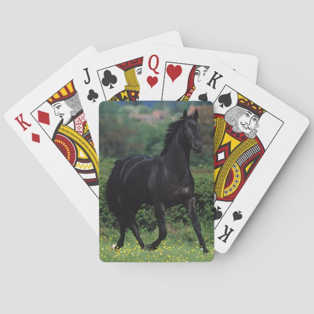 Baraja De Cartas Caballos excelentes en campo de flor (Reverso)