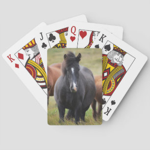 Baraja De Cartas Caballos hermosos