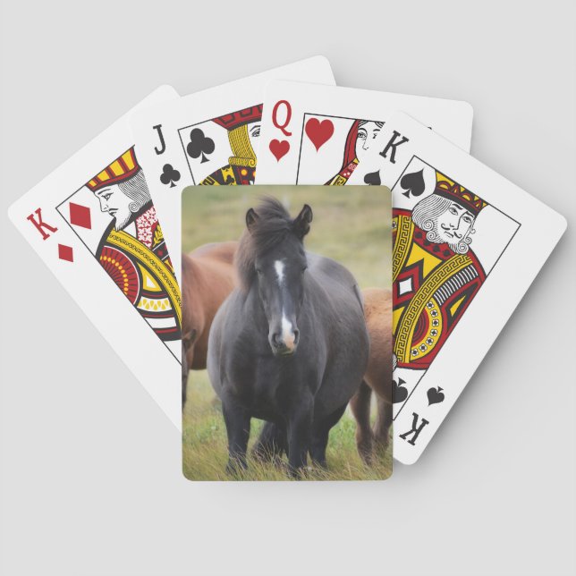 Baraja De Cartas Caballos hermosos (Reverso)