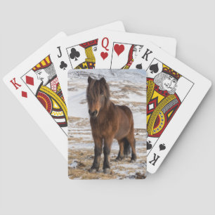 Baraja De Cartas Caballos islandeses en invierno